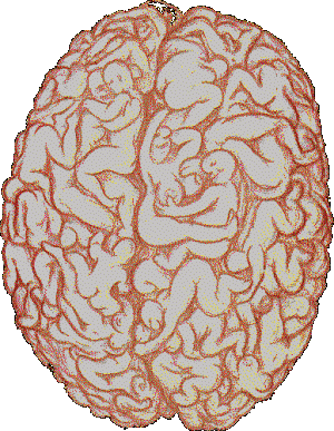 cat-brain